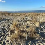Moderne Meerestraum In Dangast Varel