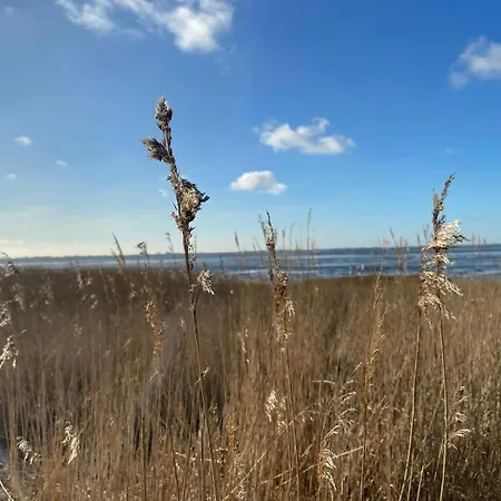 Apartment Moderne Meerestraum In Dangast