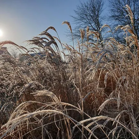 Moderne Meerestraum In Dangast